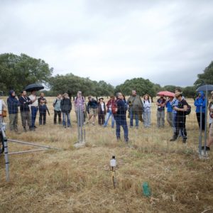 VII Congreso Forestal Español